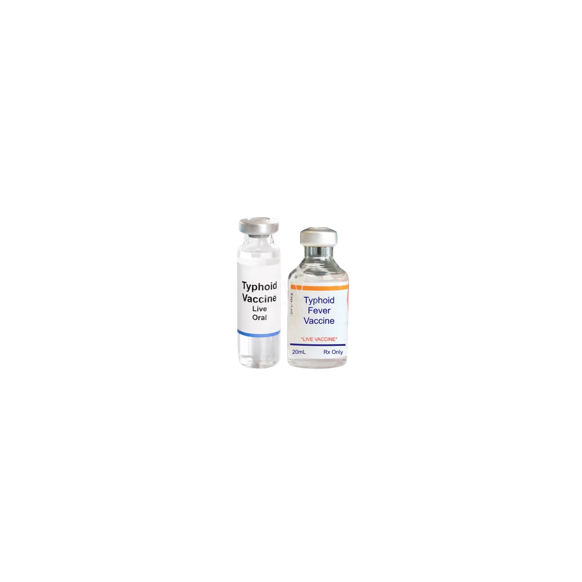 Typhoid
