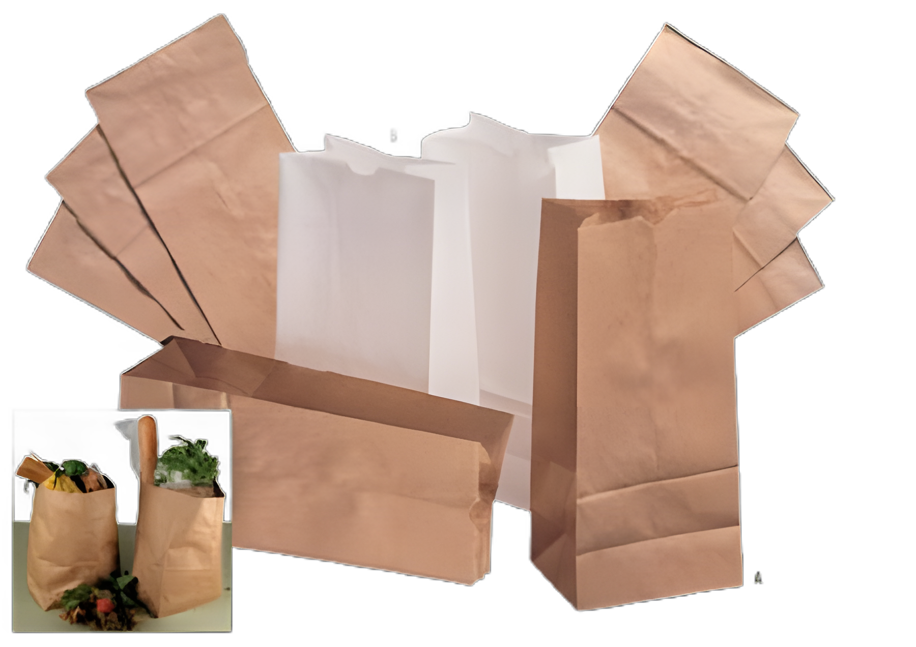 Grocery Bag General Brown Kraft Paper #10