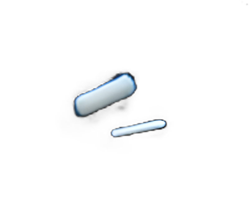 Surgical Ear Wick Ivalon® PVA (Polyvinyl Acetate) 9 X 15 mm 1 Count Pack Sterile - Q605201