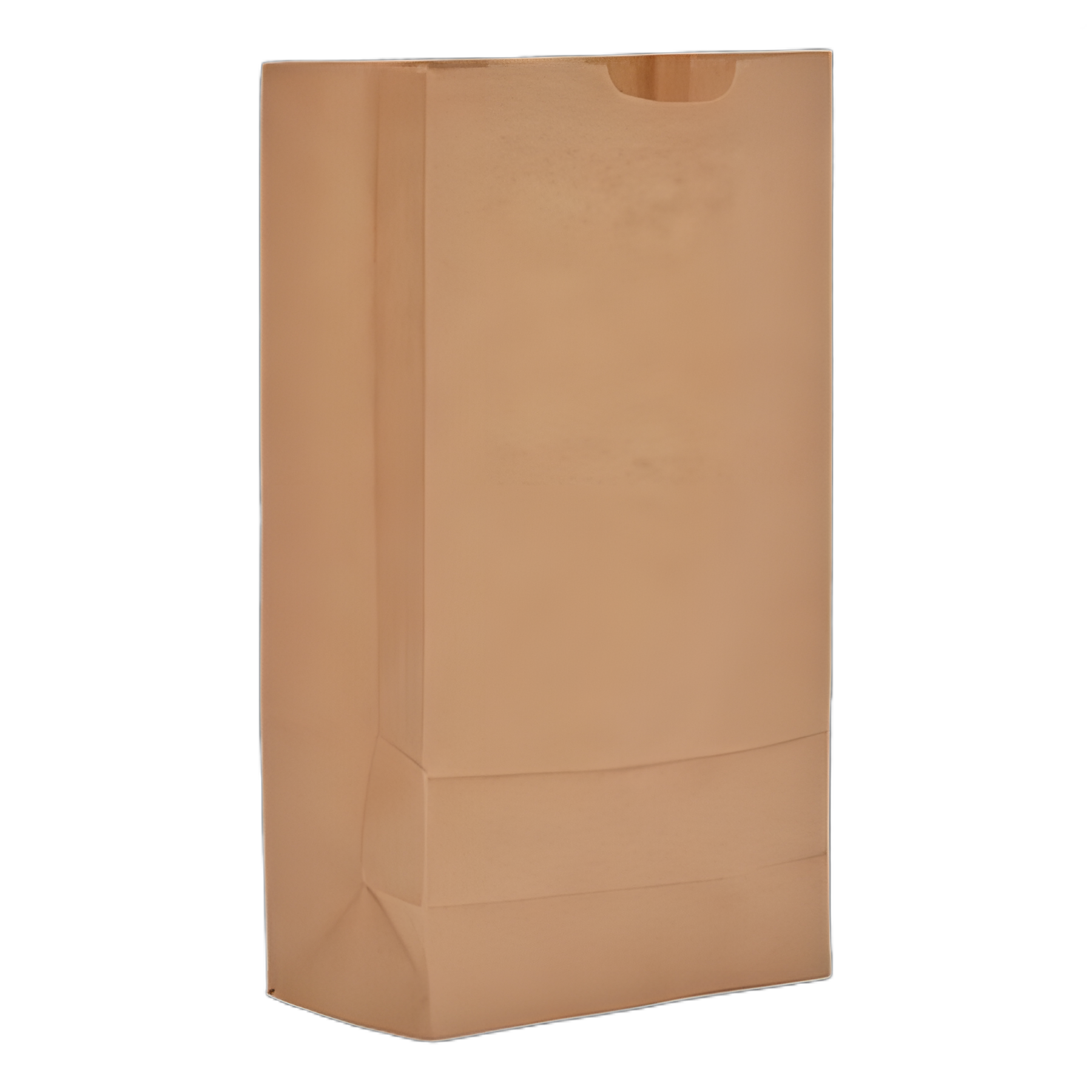 Eco-Friendly Kraft Paper Grocery Bags - 35 lb Capacity, #10 Size