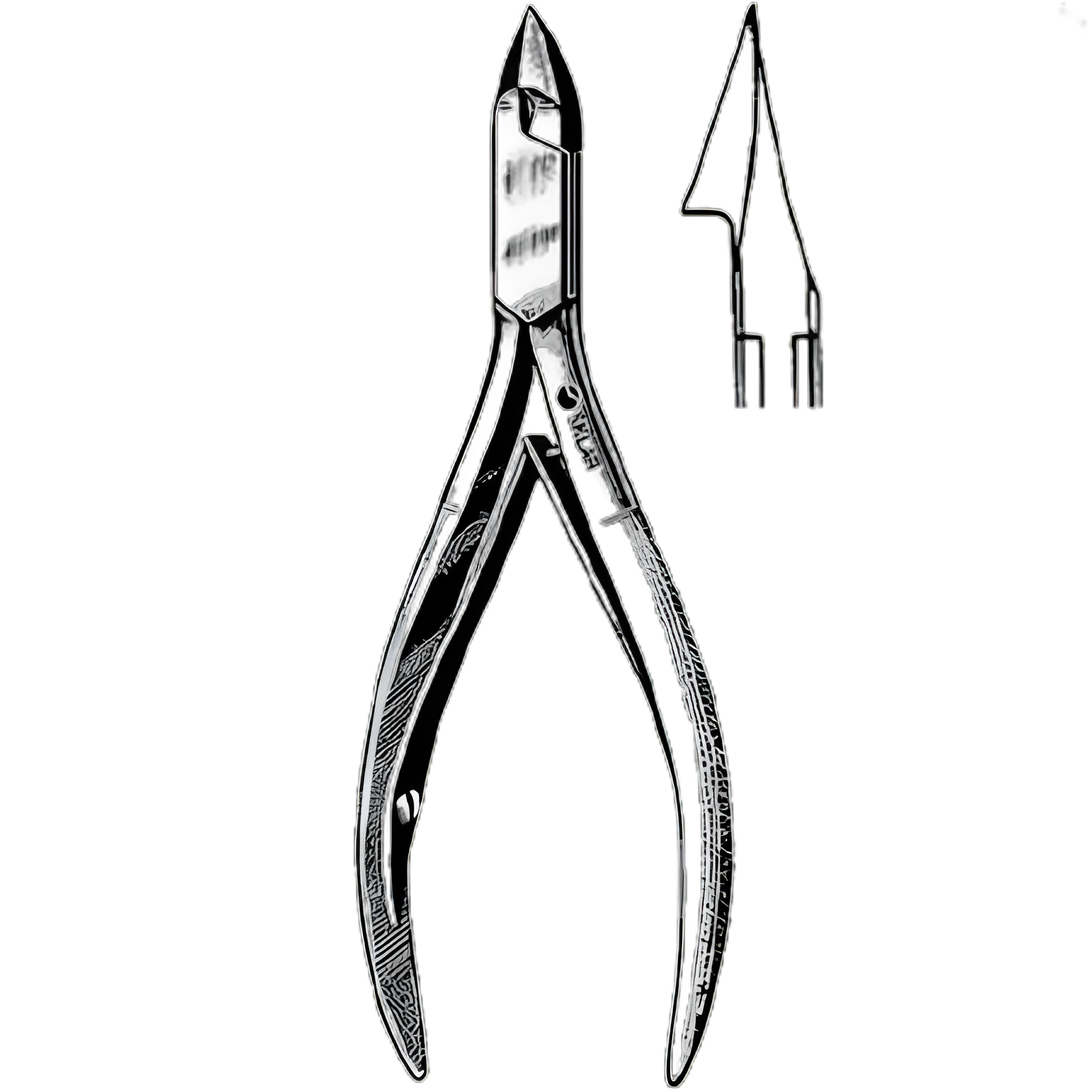 Tissue / Nail Nipper Convex Jaw 5 Inch Length German Stainless Steel