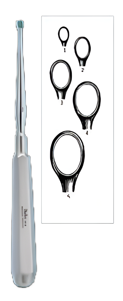Dermal Curette Miltex® Piffard 6-1/4 Inch Length Hexagonal Handle Size 2 Tip Straight Fenestrated Oval Tip