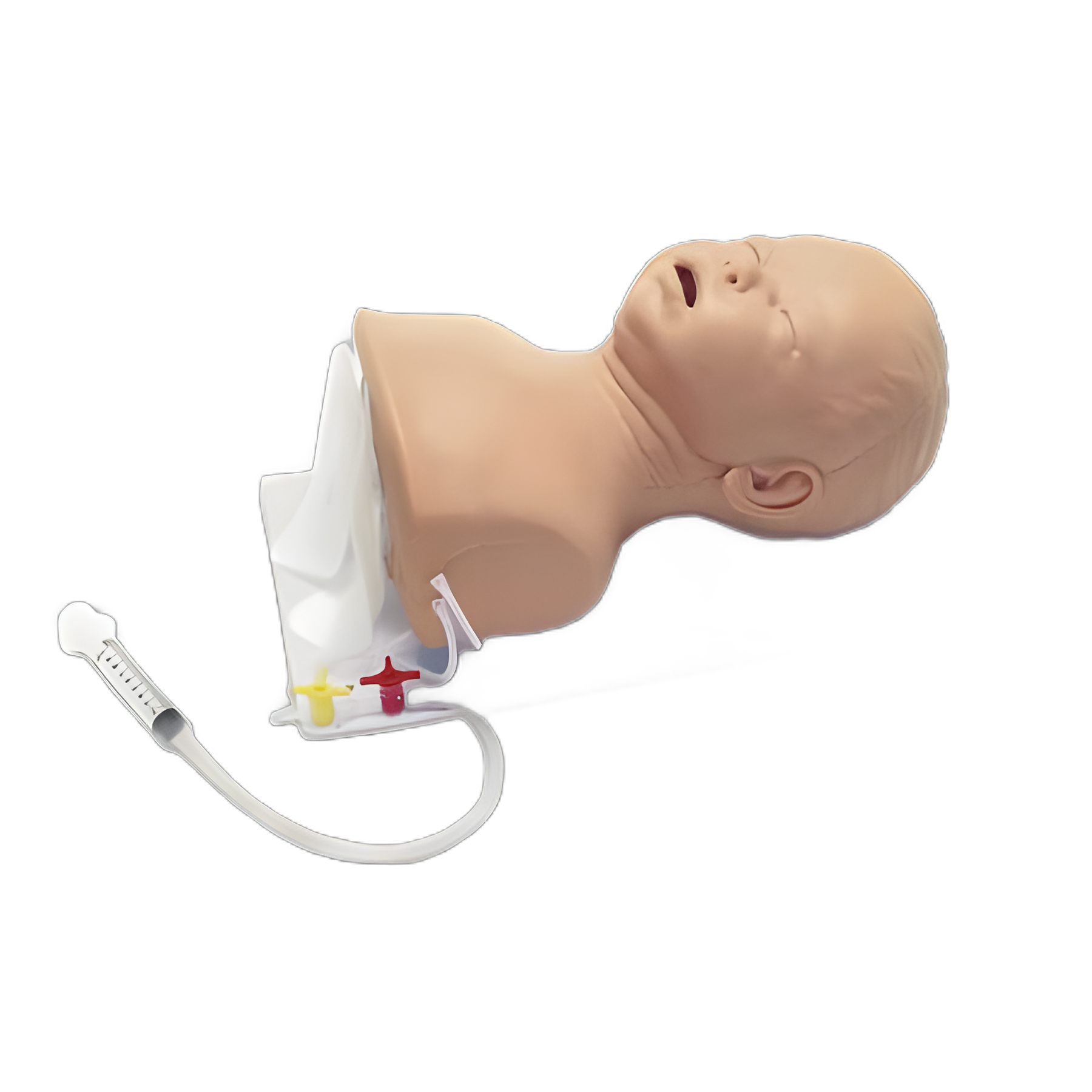 Infant Intubation Head Trainer for Pediatric Airway Management Training