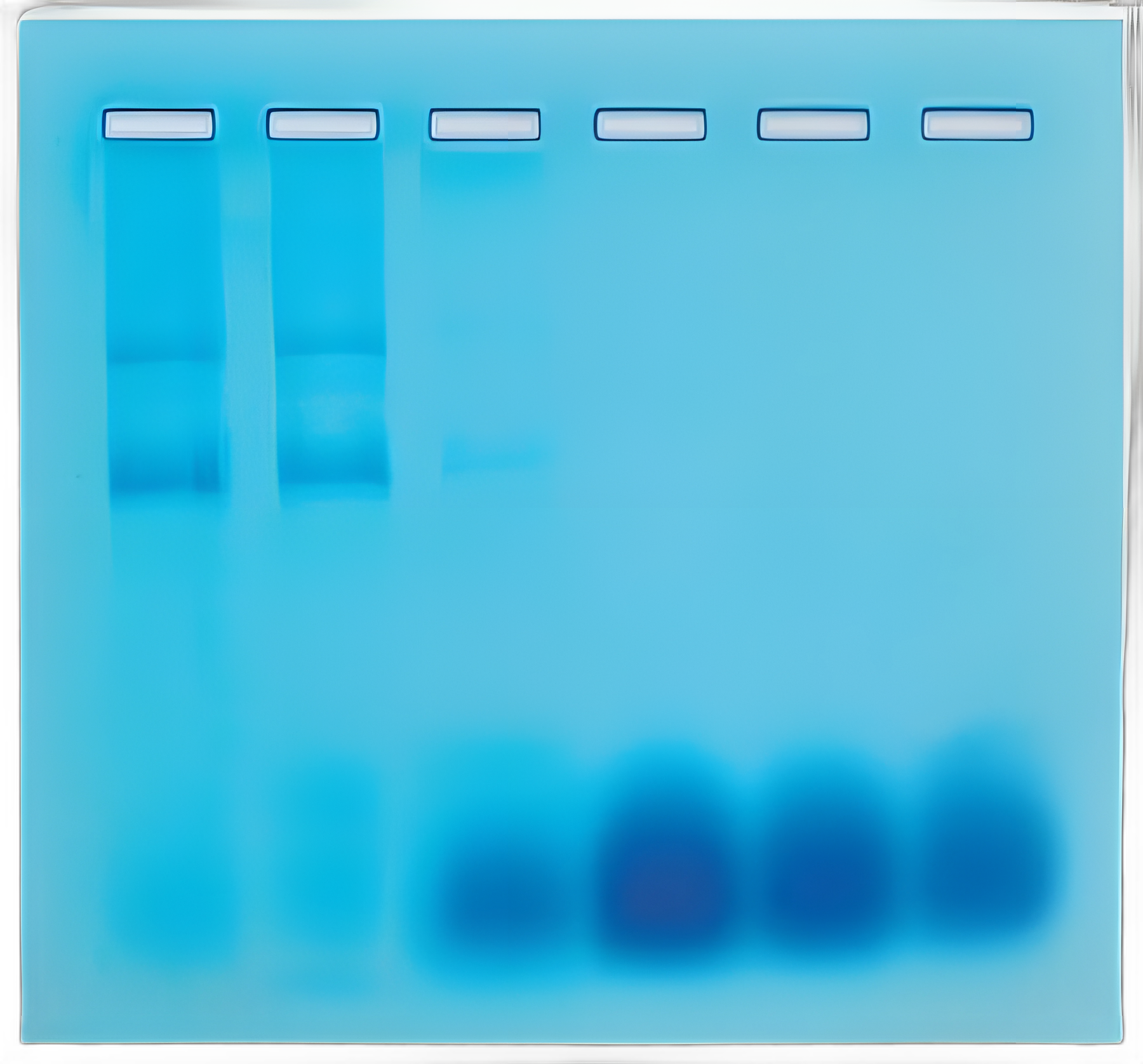 Edvotek™ Gel Filtration Chromatography Educational Kit