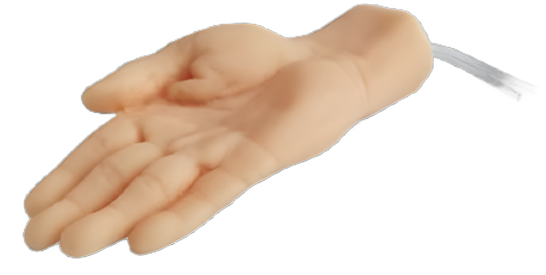 productImage
