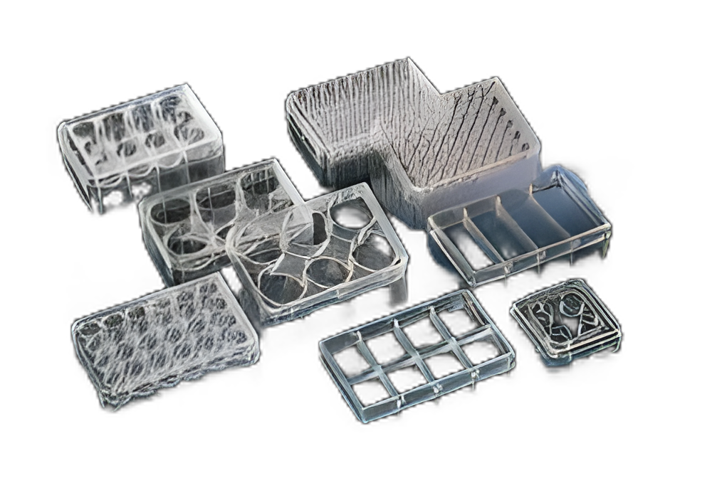 Thermo Scientific™ Nunc™ Multiwell Cell Culture Dish - 12565496 for Laboratory Research