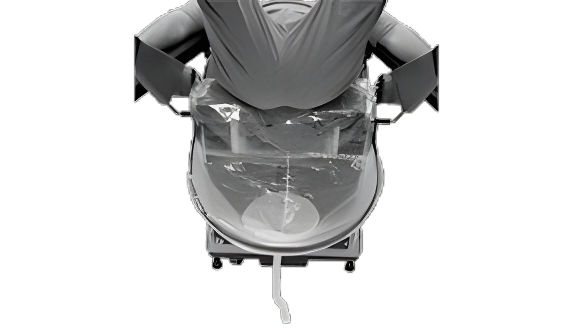 Fluid Collection System Bag