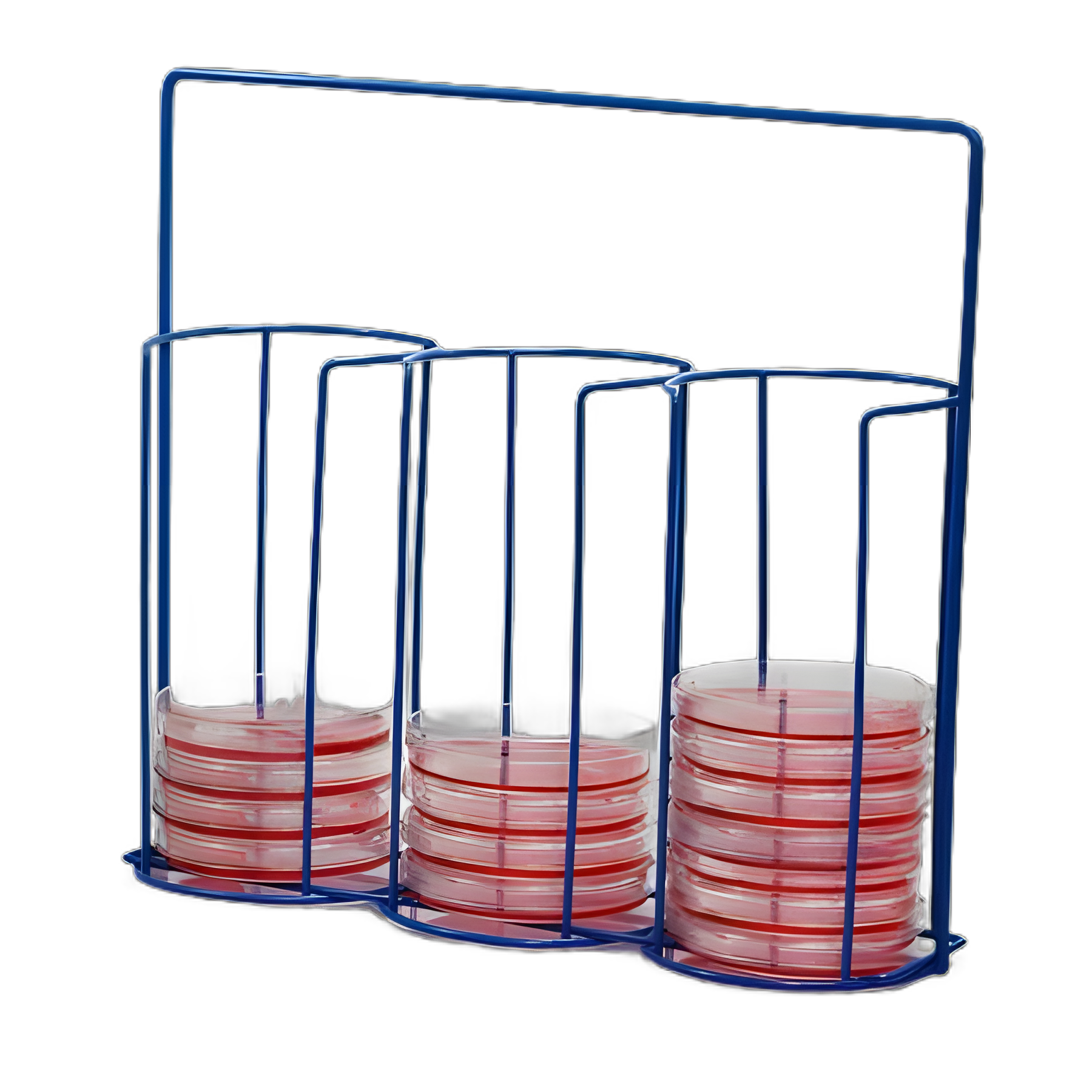 Poxygrid® Petri Dish Carrying Rack for Laboratory Use
