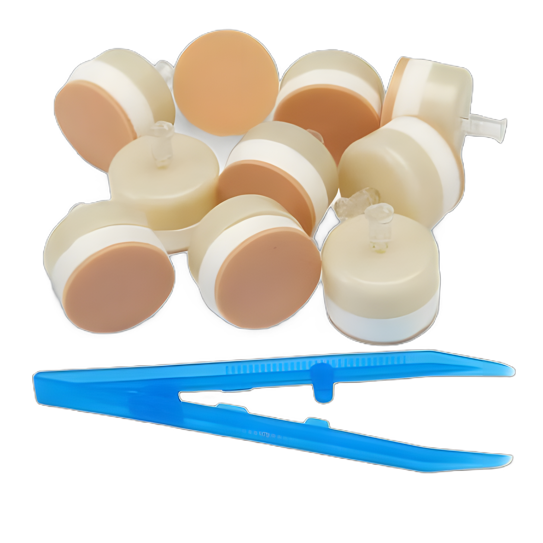 Nasco Healthcare Bone Replacement for I/O Leg - 10 Pack