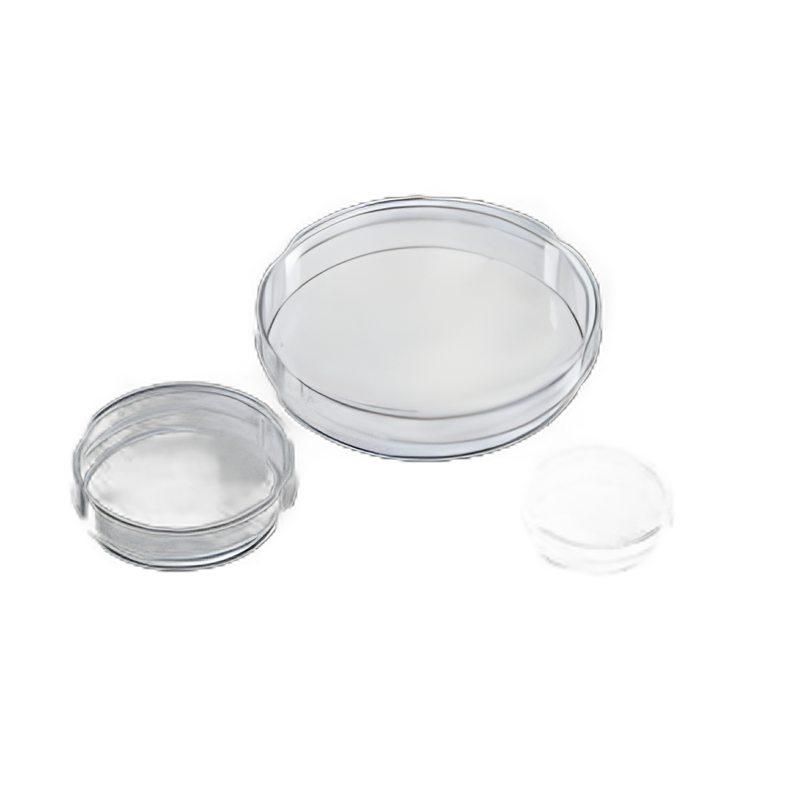 Petri Dish Nunc® IVF Polystyrene - 12566352