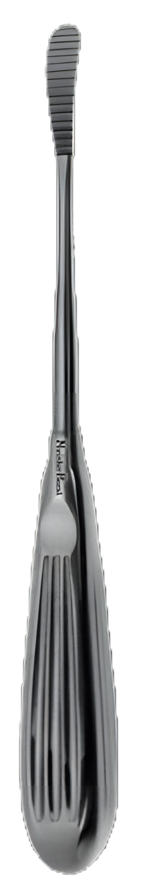 Glabellar Rasp MeisterHand® Aufricht 8-1/4 Inch Stainless Steel Reusable Curved Forward Cutting