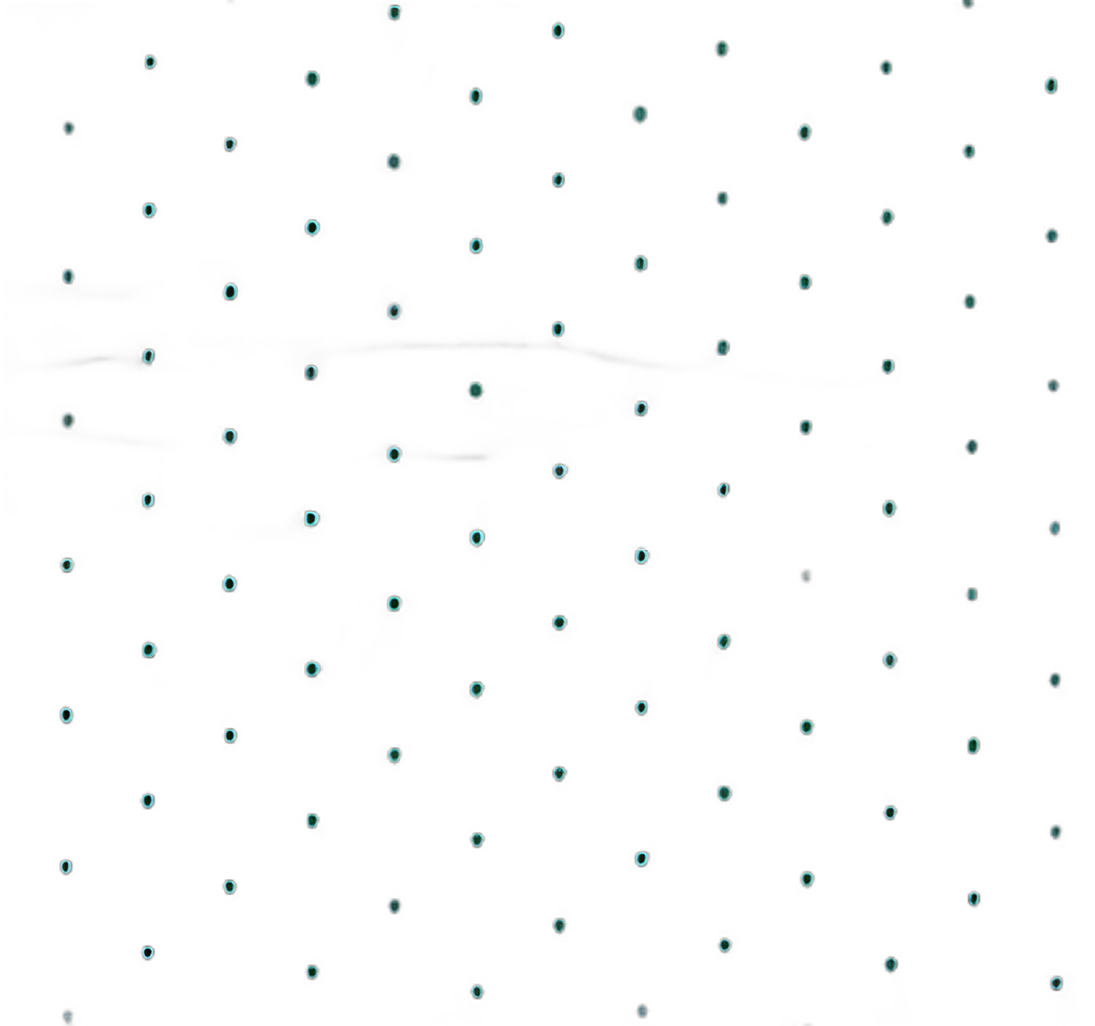 HydroGrabber® Absorbent Floor Mat 32 X 44 Inch for Medical Environments