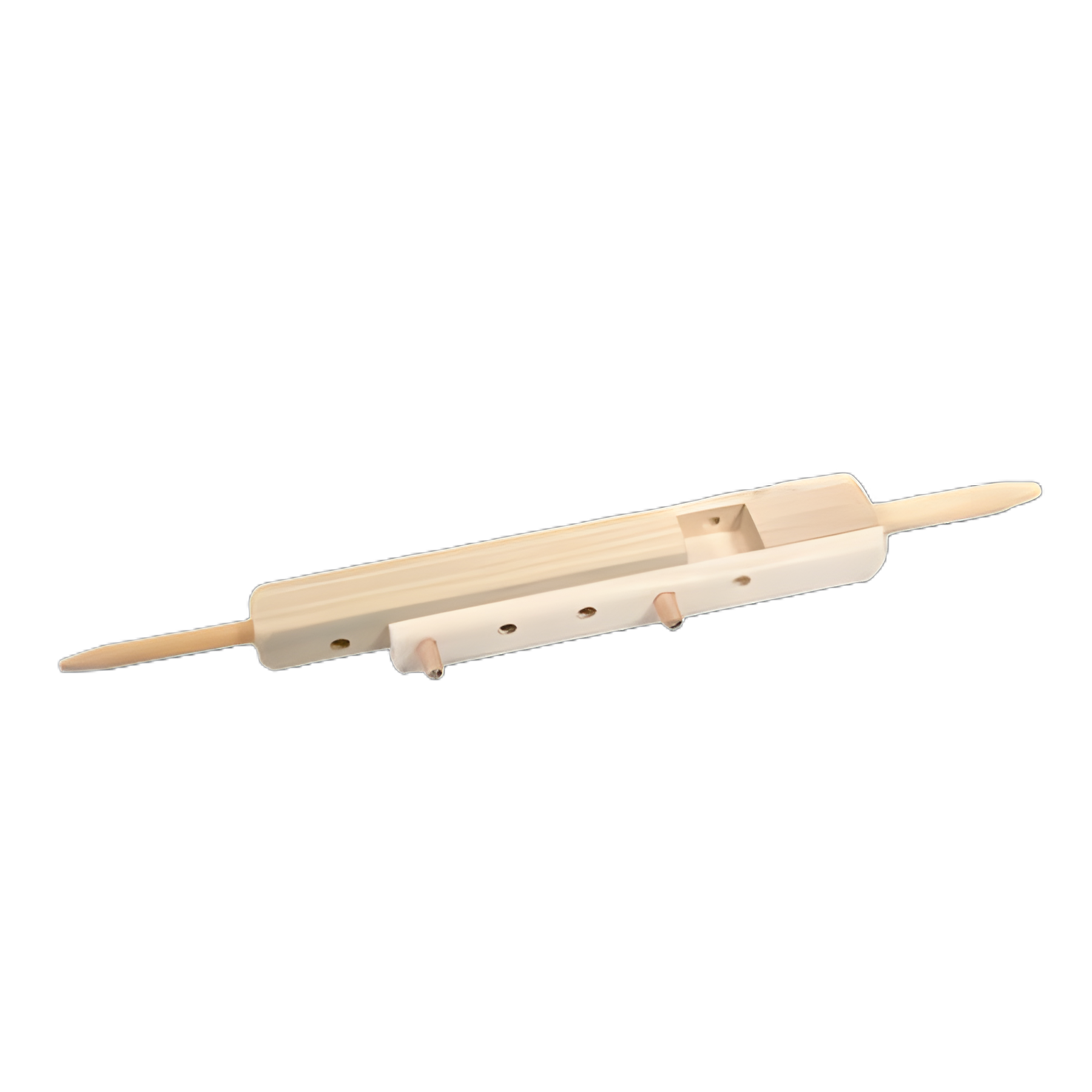 Prosthetic Lower Extremity