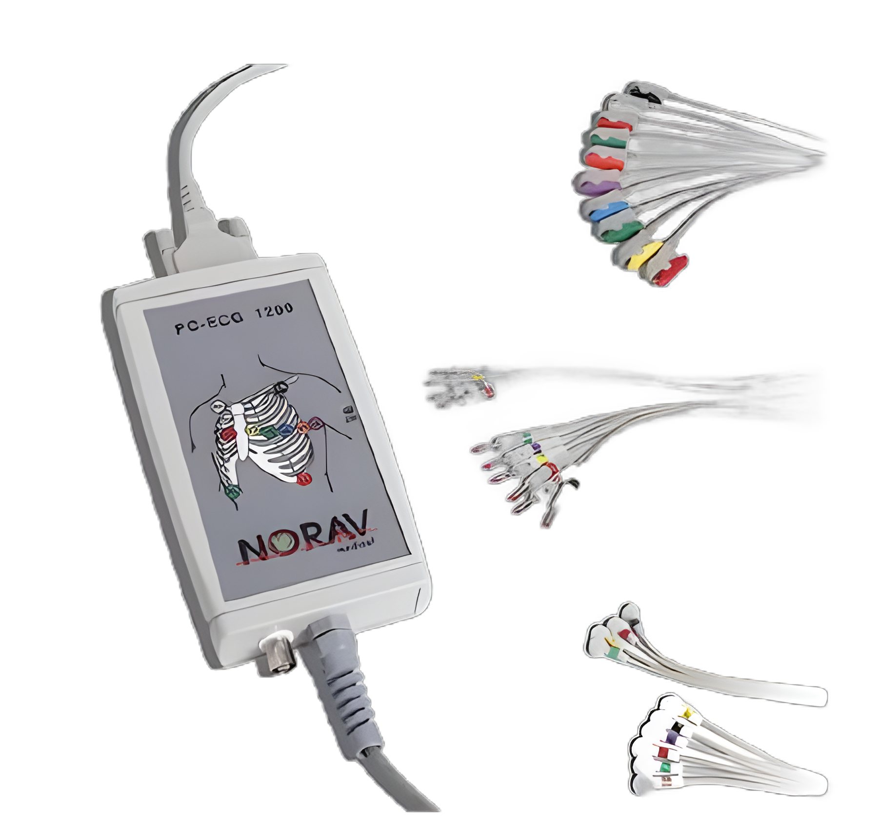 PC-Based Stress ECG Recorder Norav 1200HR Stress Test Analog Display
