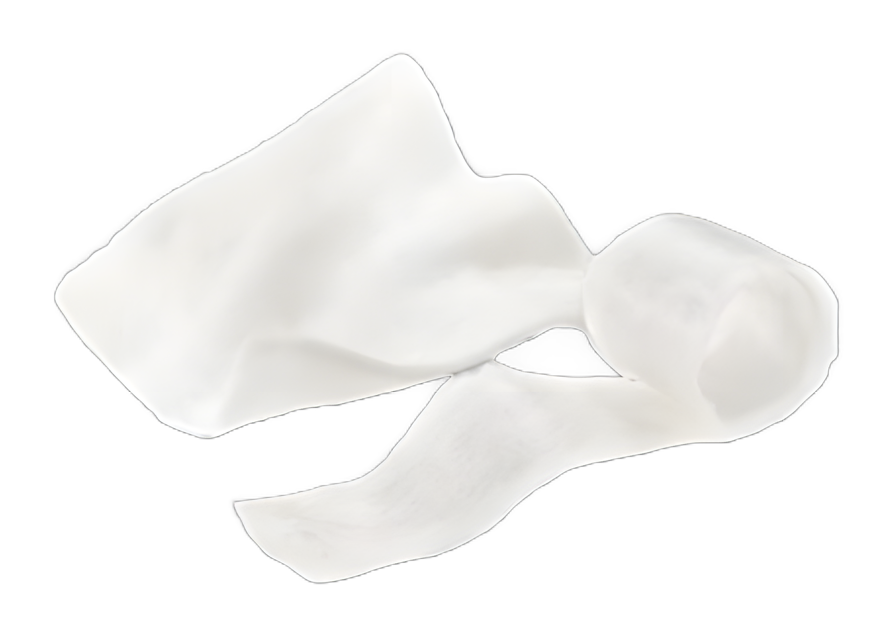 Suprasorb A + Ag Silver Alginate Wound Dressing Rope 12 Inch Sterile