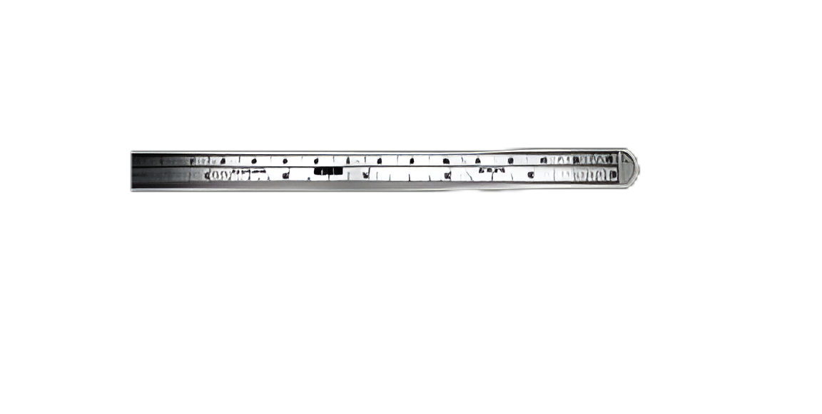 Precision Stainless Steel Ruler 6.3 Inch for Medical Professionals