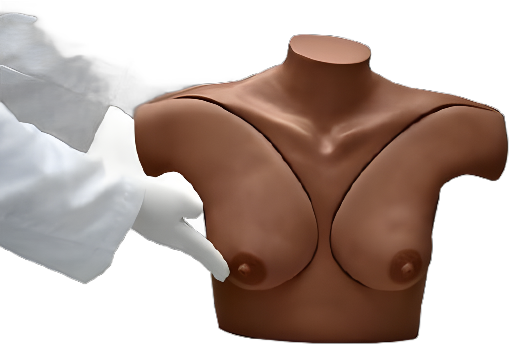 Gaumard® Breast Self-Examination Simulator with CD - Advanced Teaching Tool