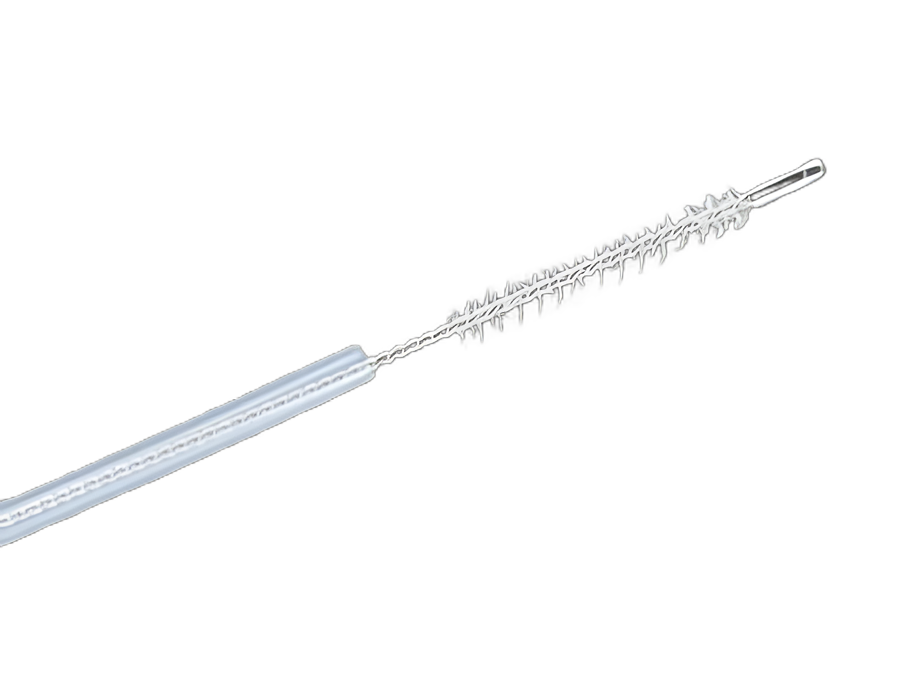 Cytology Brush 5 Fr. Sheath 120 cm for Effective Cell Collection