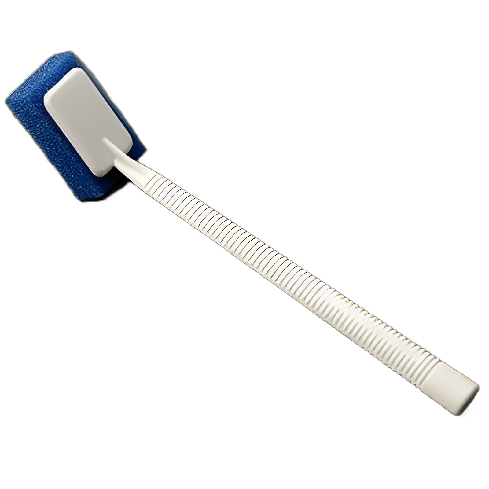 Scrub Brush Sponge Blue / White