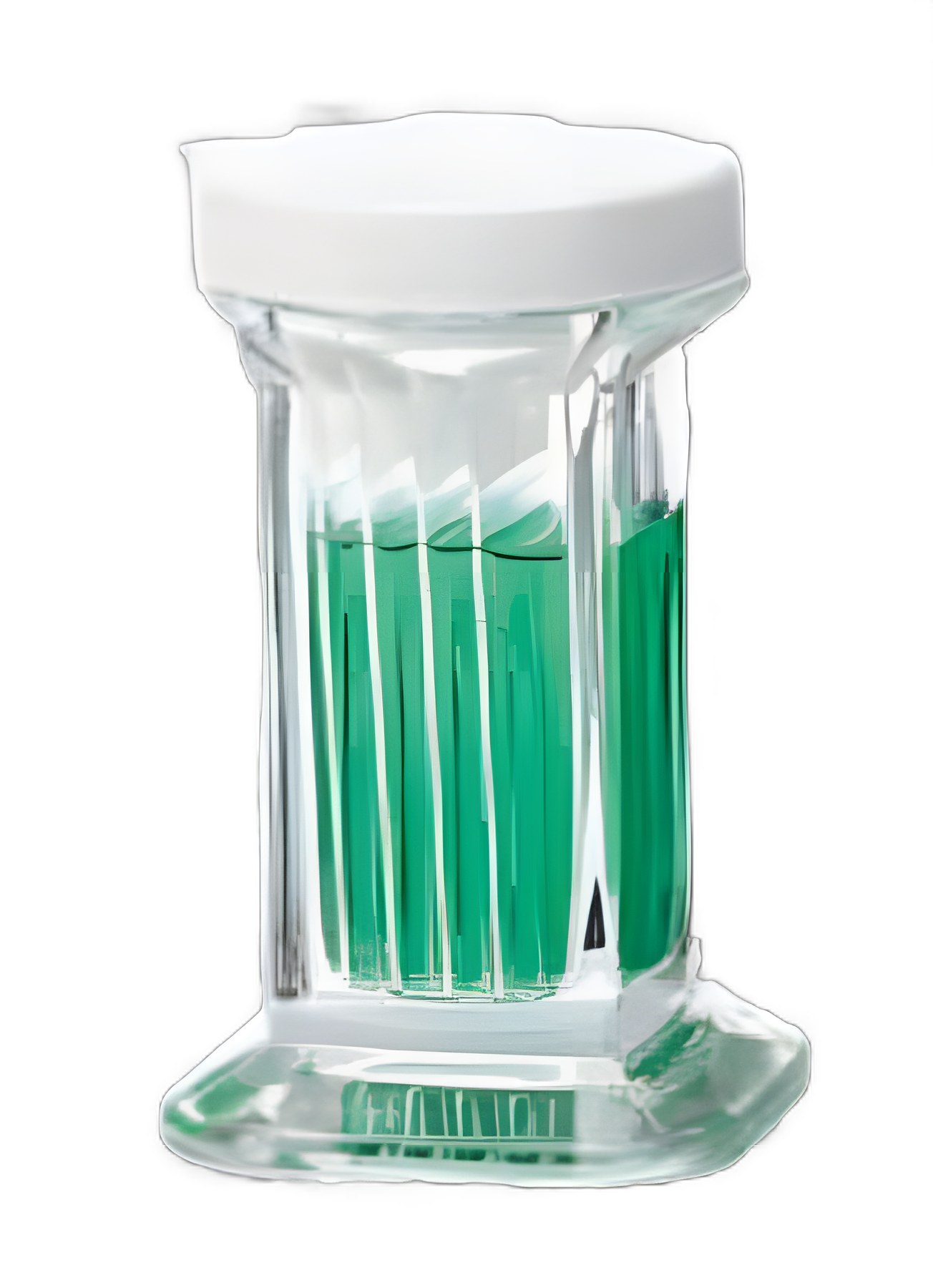 Staining Jar - 08813E