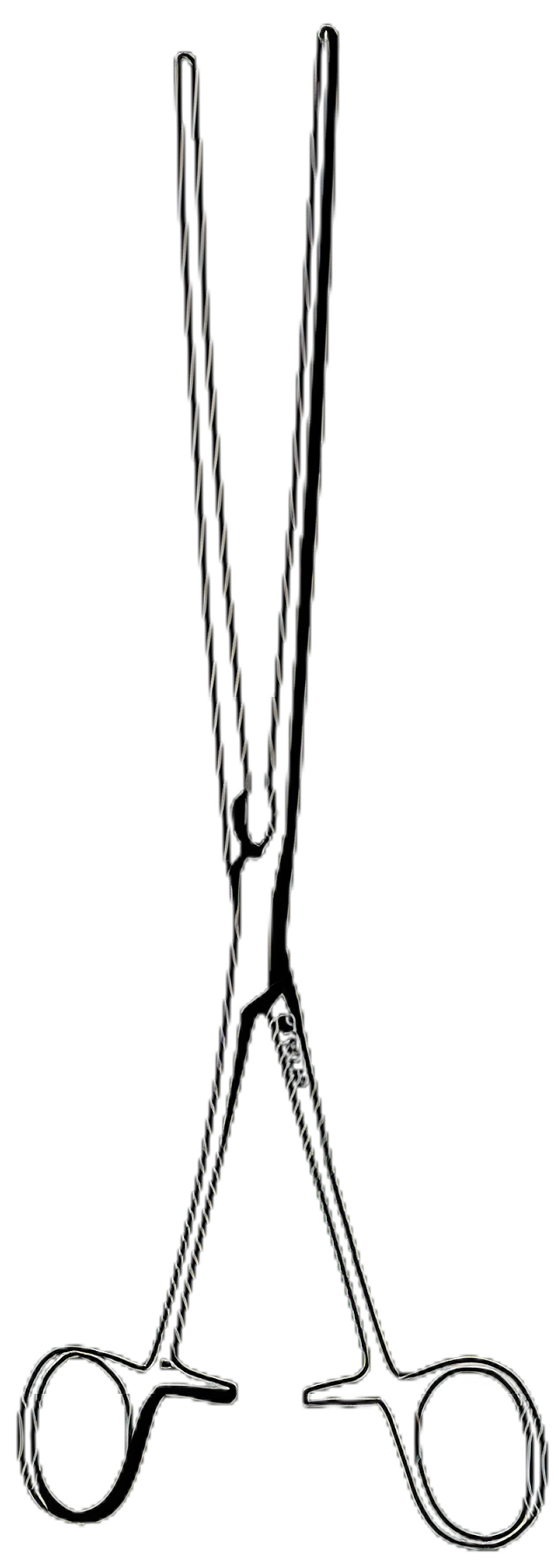 Sklar® Kocher Hemostatic Forceps, 12 Inch, Stainless Steel, Straight Serrated Tips