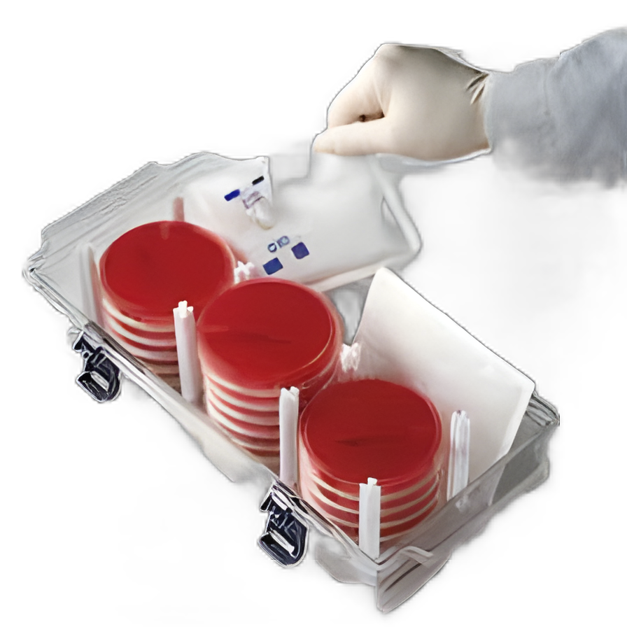 GasPak™ EZ Anaerobe Sachet 20 Sachets For use with BD GasPak Gas Generating Systems