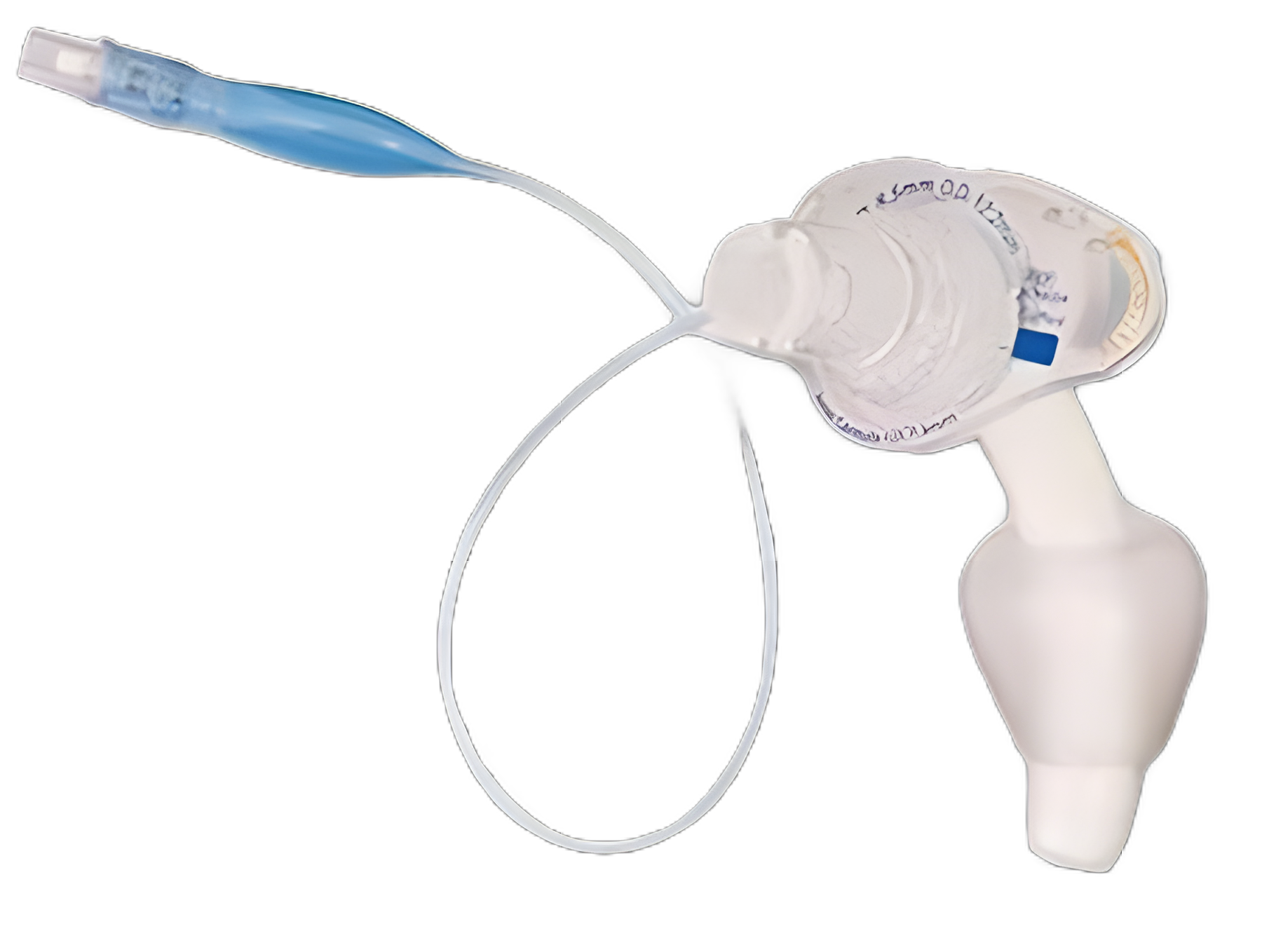Cuffed Tracheostomy Tube Shiley™ Disposable IC Size 8.0 Adult - 7CN80H