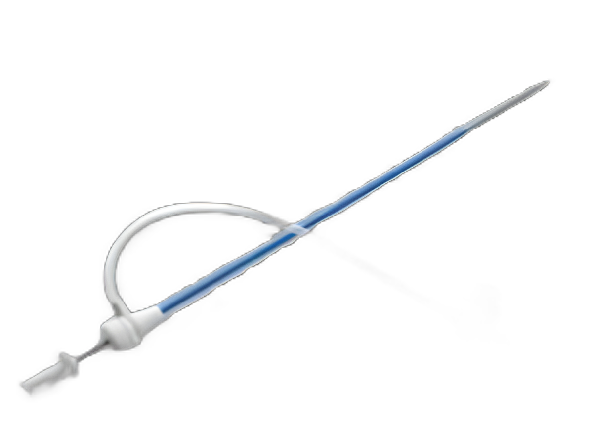Introducer Performer™ 16 Fr. X 30 cm Length X 5.3 mm ID For up to .038 Inch Diameter Guidewire