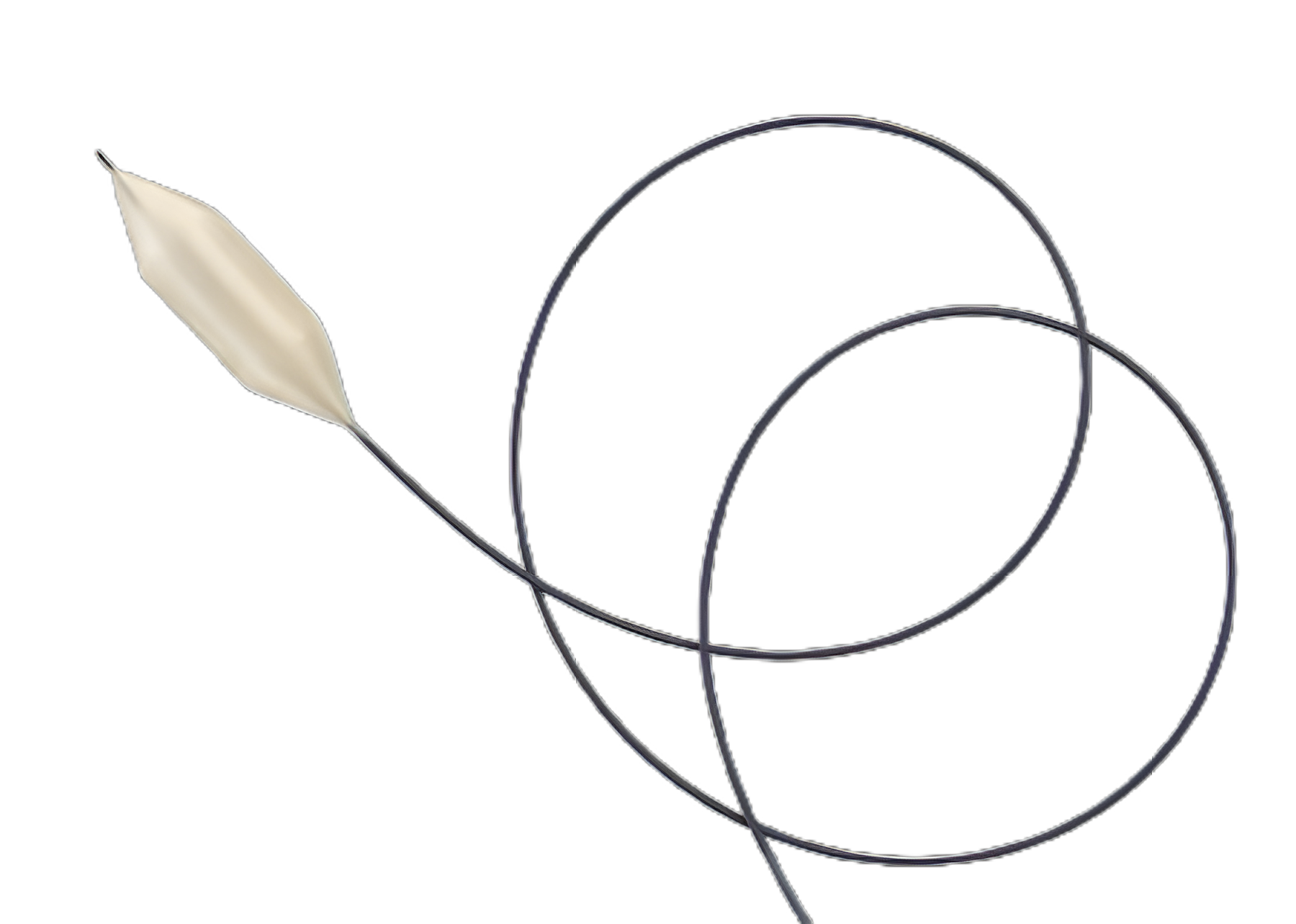 PTA Dilatation Catheter Atlas® Gold 16 mm Diameter X 2 cm Length Balloon 120 cm