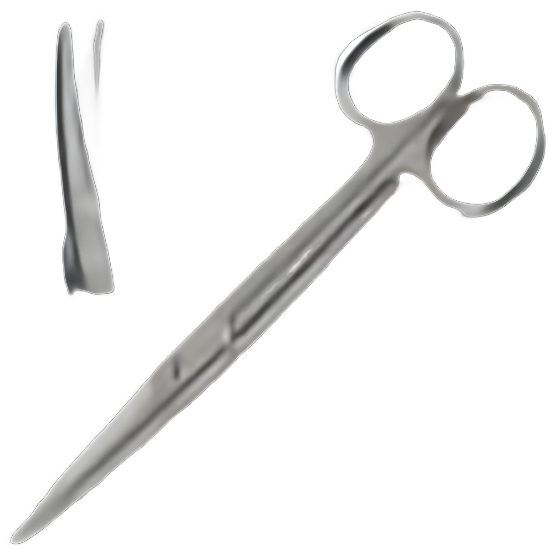 Econo™ Mayo Dissecting Scissors 5-1/2 Inch Curved, Stainless Steel - Sklar