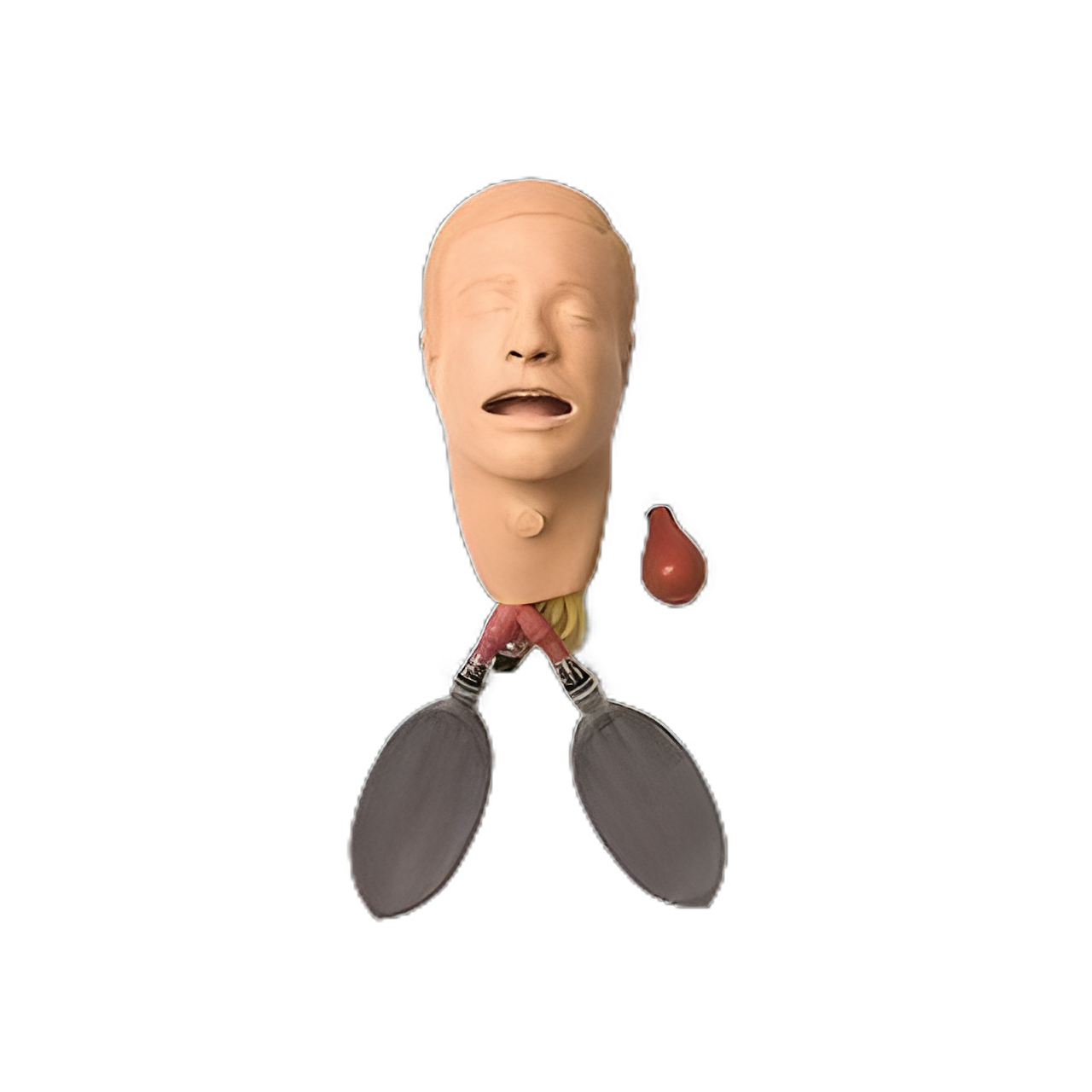 Laerdal Medical Adult Male Replacement Head and Intubation Trainer with Lung