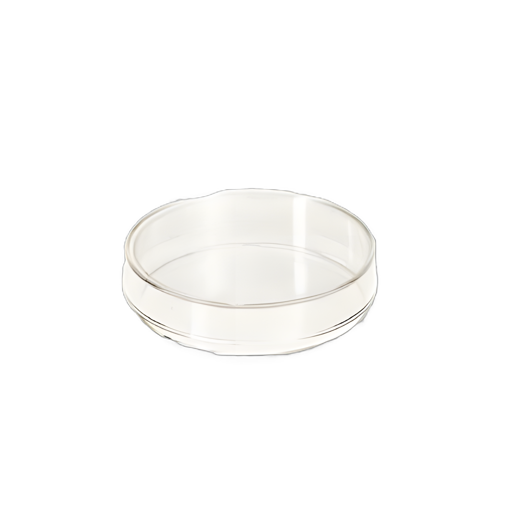 Petri Dish Nunc™ Polystyrene - 150288