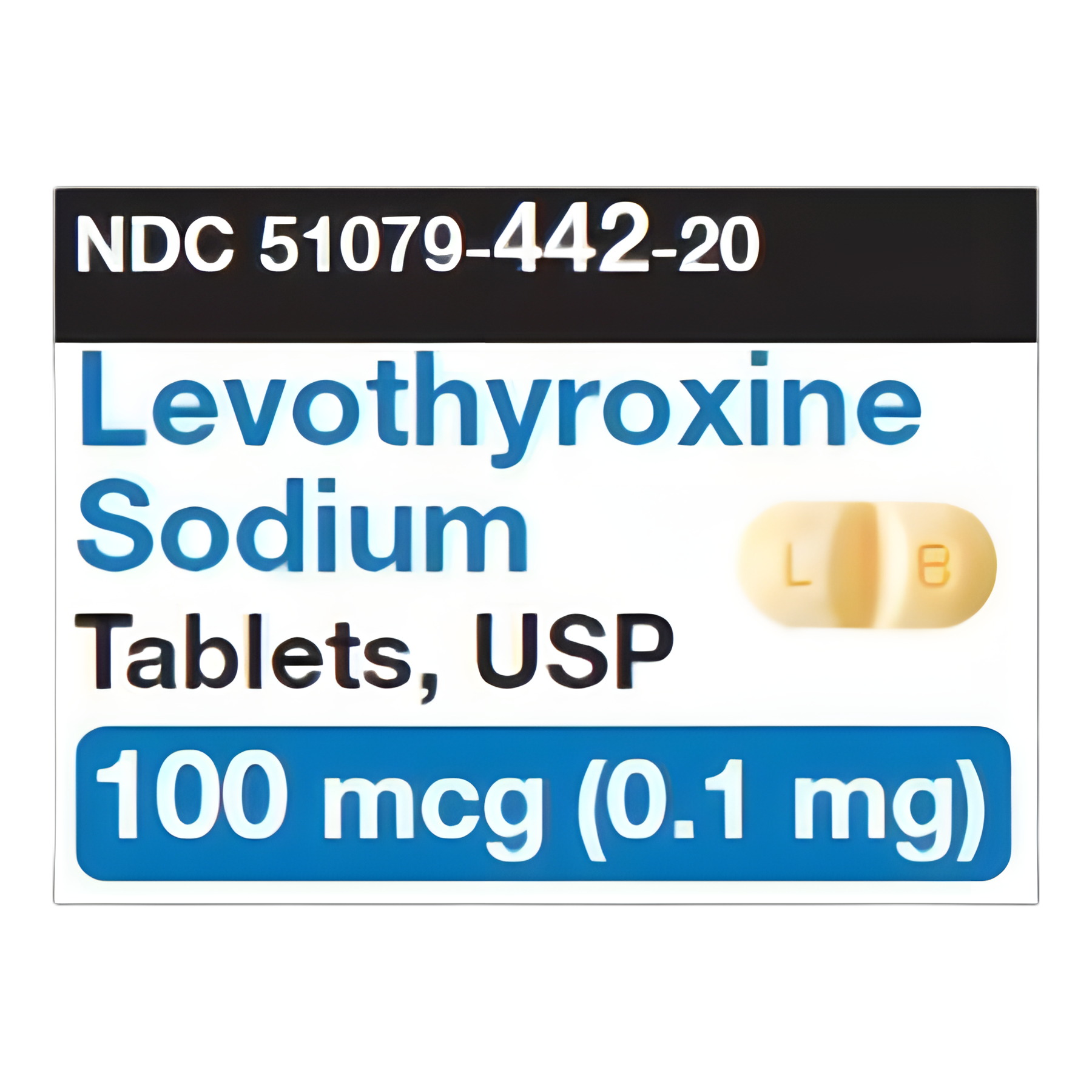 Levothyroxine Sodium 100 mcg Tablet Blister Pack 100 Tablets
