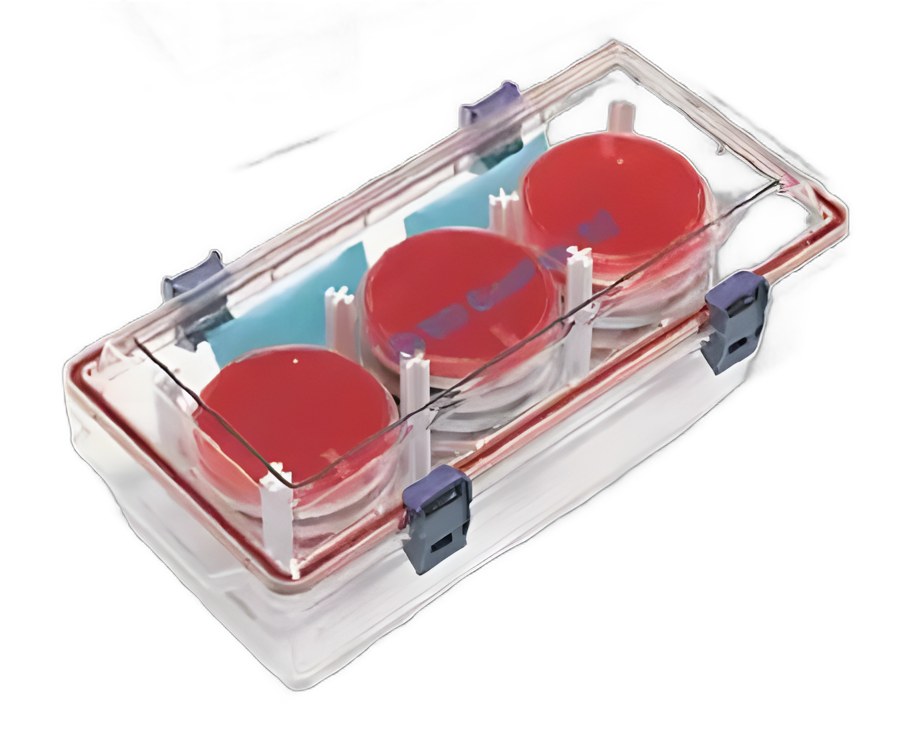 GasPak™ EZ Incubation Container 30 to 33 Petri Dish Capacity, Easy Close Latch