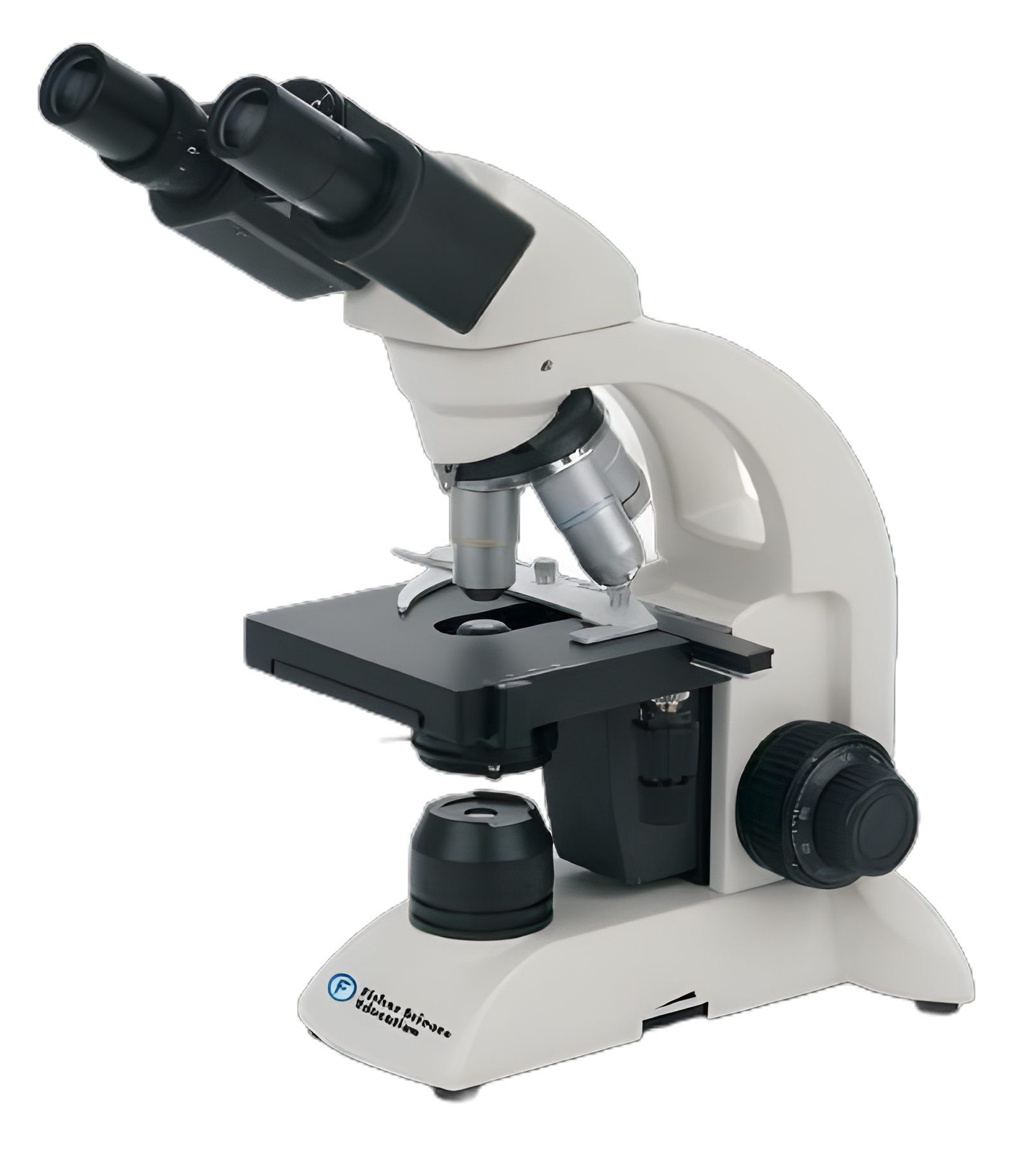Fisherbrand™ Fisher Science Education™ Compound Microscope - Siedentopf Binocular Head, DIN Achromat Objectives, LED Illumination