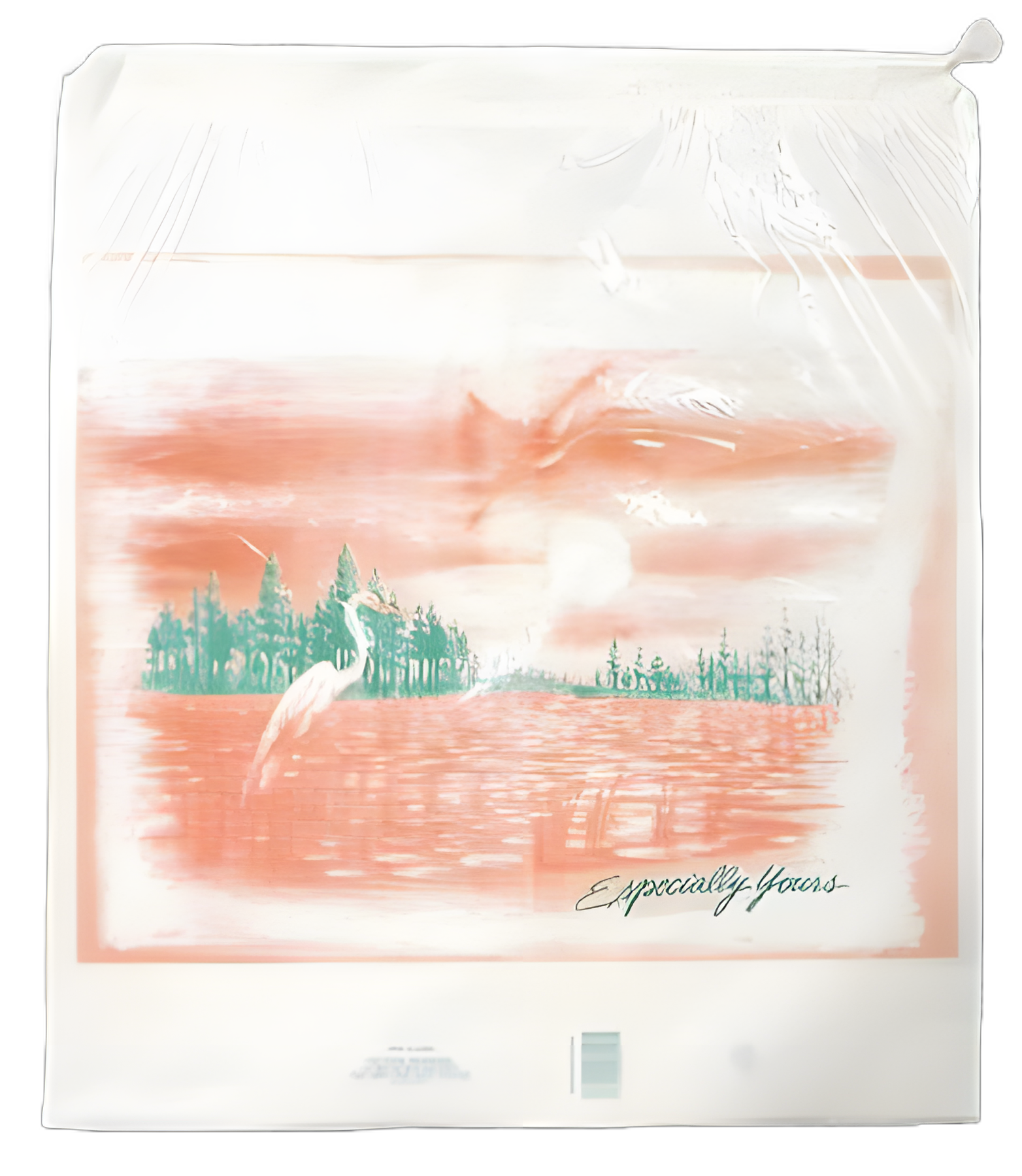 Patient Belongings Bag 18 X 20-1/2 Inch Polyethylene Drawstring Closure White