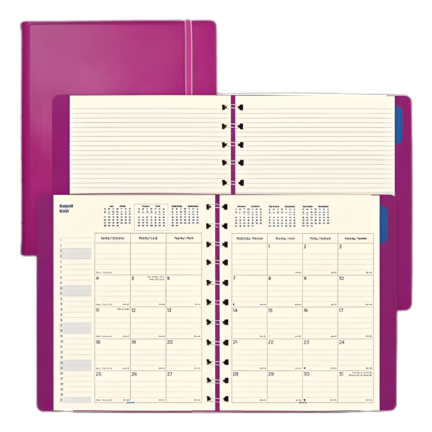 Soft Touch 17-Month Planner for Medical Professionals, Fuchsia Cover, Aug 2023 to Dec 2024