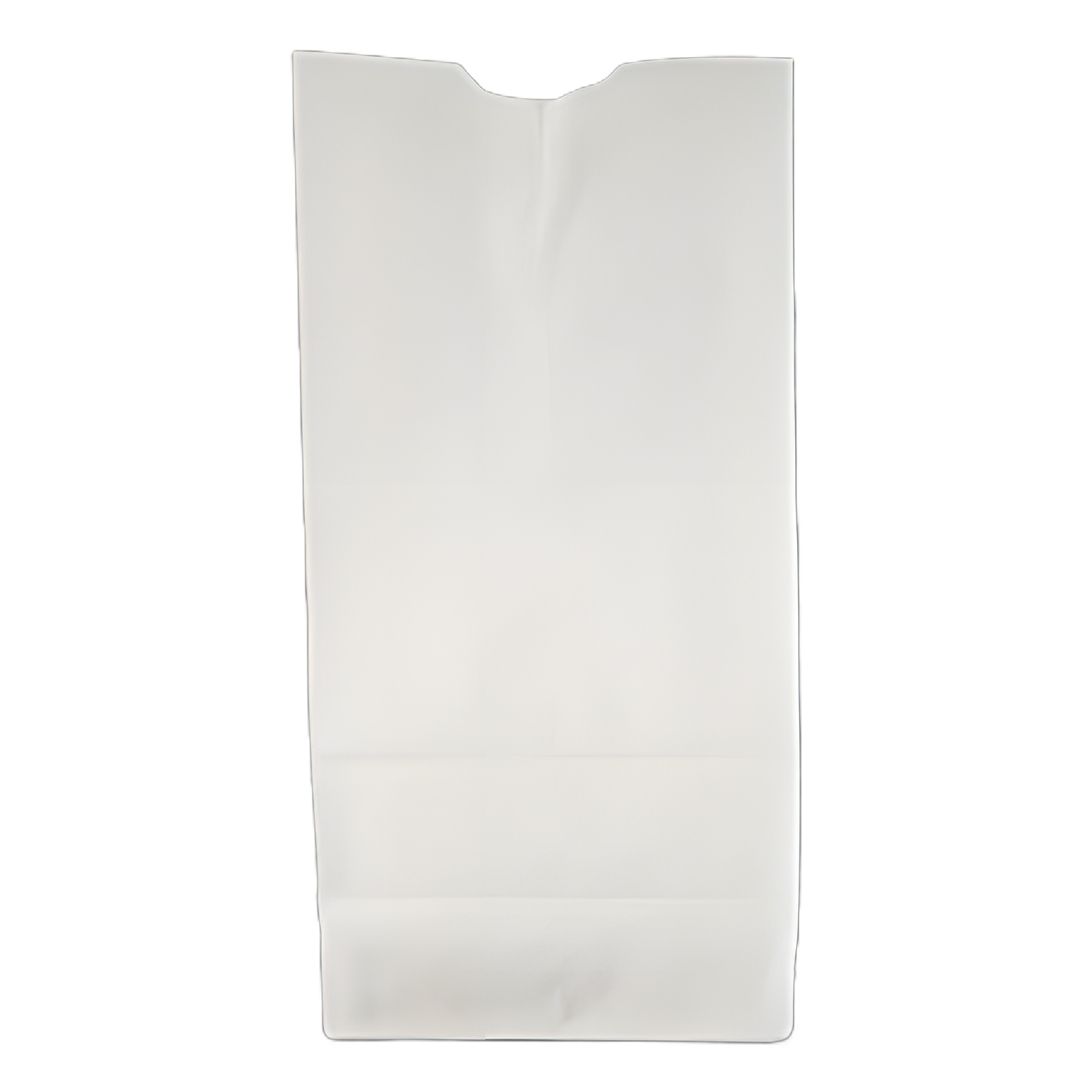 Durable Medical Grade Grocery Paper Bags, 30 lb Capacity, #2 Size