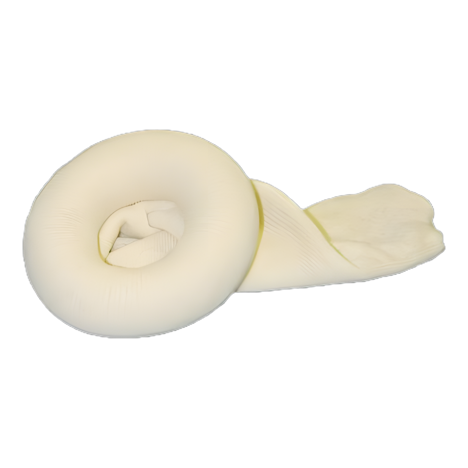 Surgical Stockinette Tubular McKesson 6 X 60 Inch Sterile - 16-3S-660
