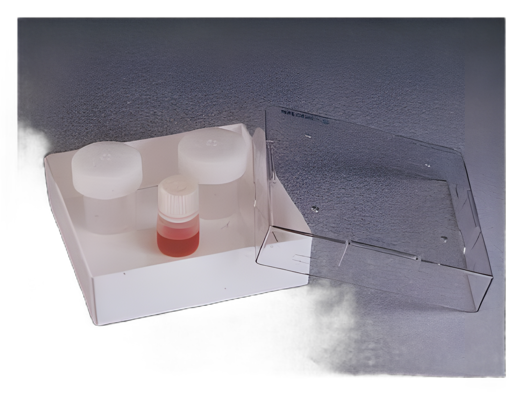 Thermo Scientific™ Nalgene™ Cryo Storage Box in White Polycarbonate
