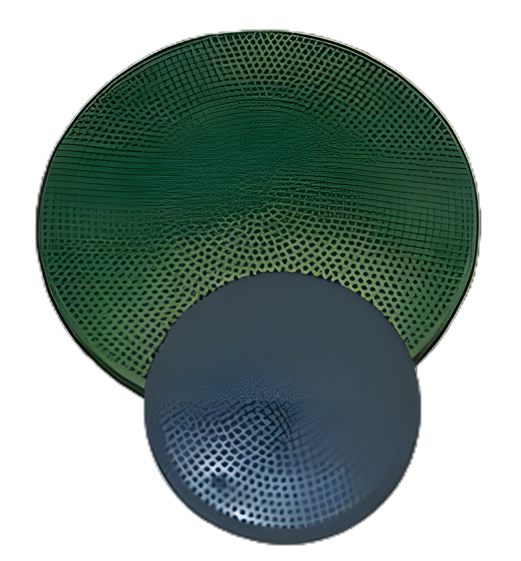 Vestibular Disc CanDo® 35 cm