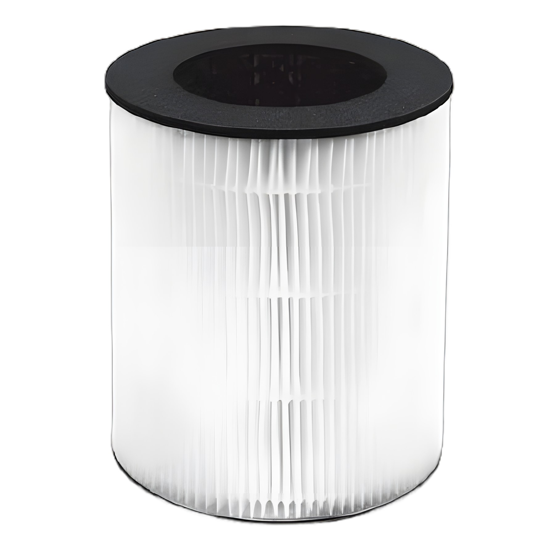 HoMedics TotalClean HEPA-Type Replacement Filter for AP-T20 Series Air Purifiers