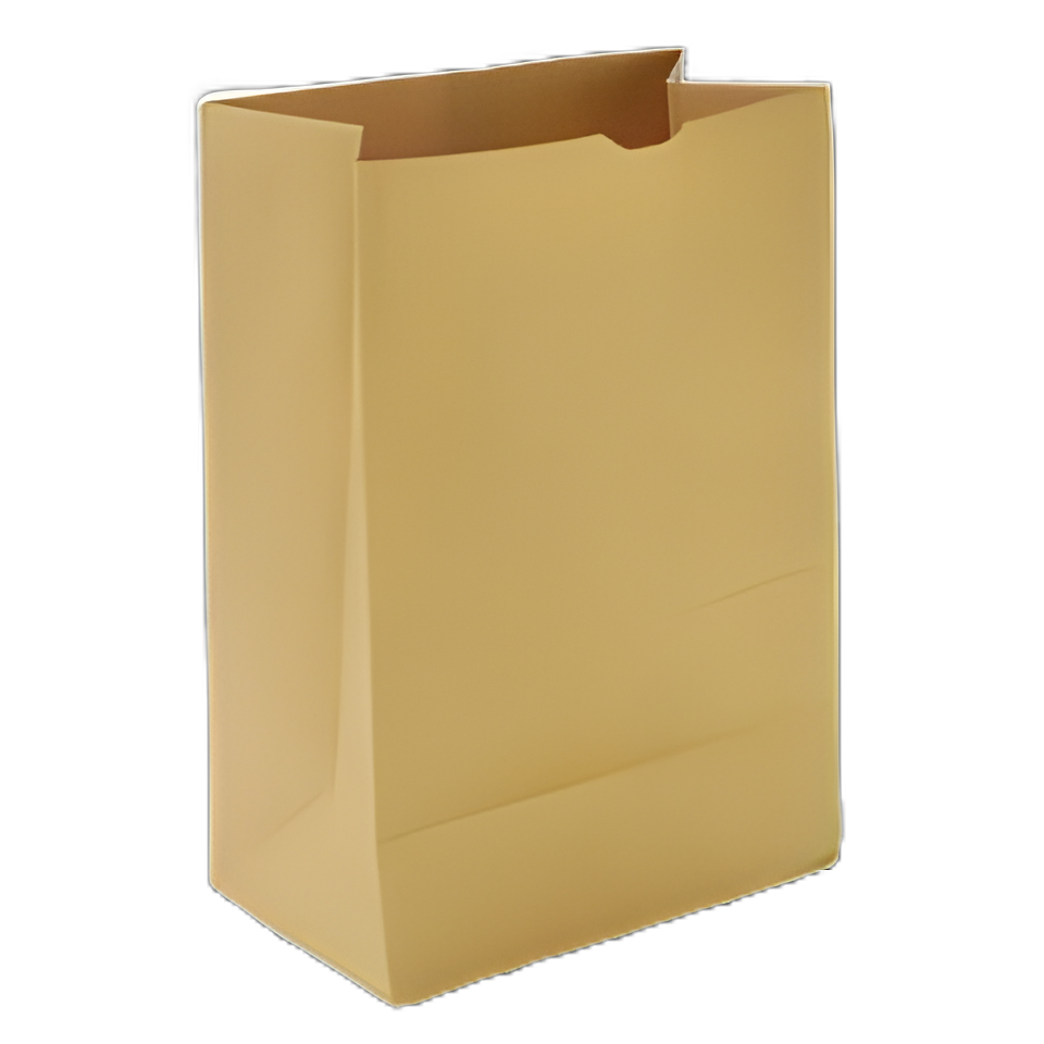 Grocery Bag General Brown Kraft Paper 1/6 BBL - BAGSK1657