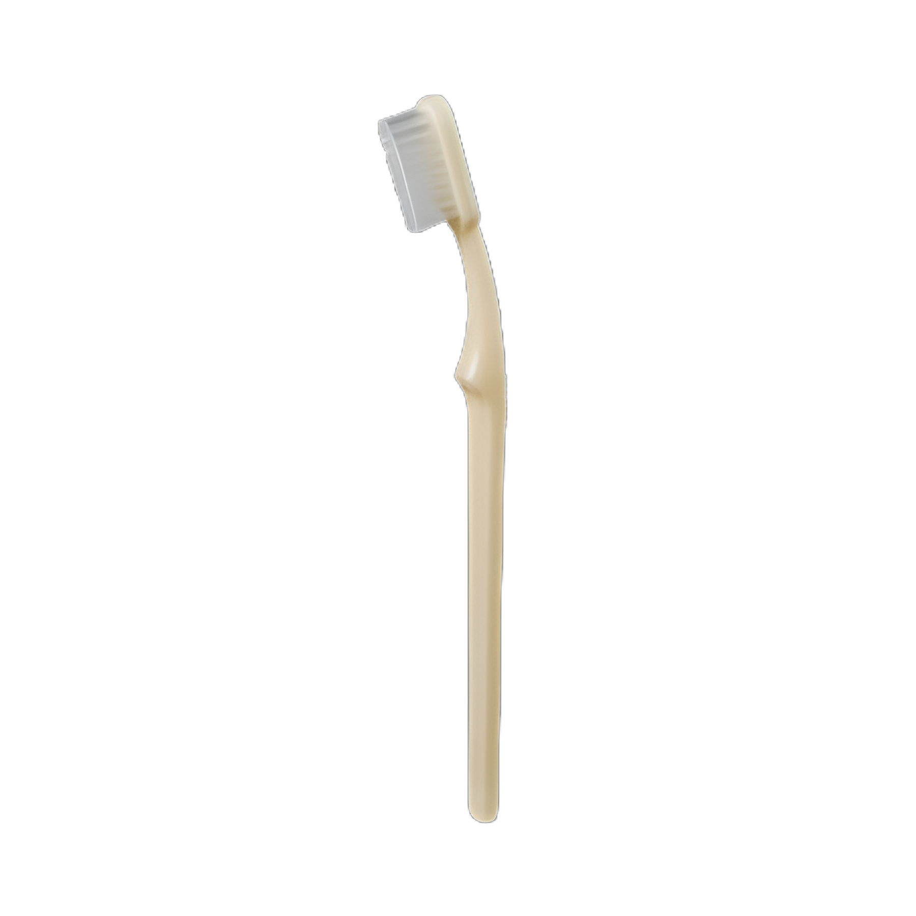 Toothbrush McKesson Ivory Adult Medium