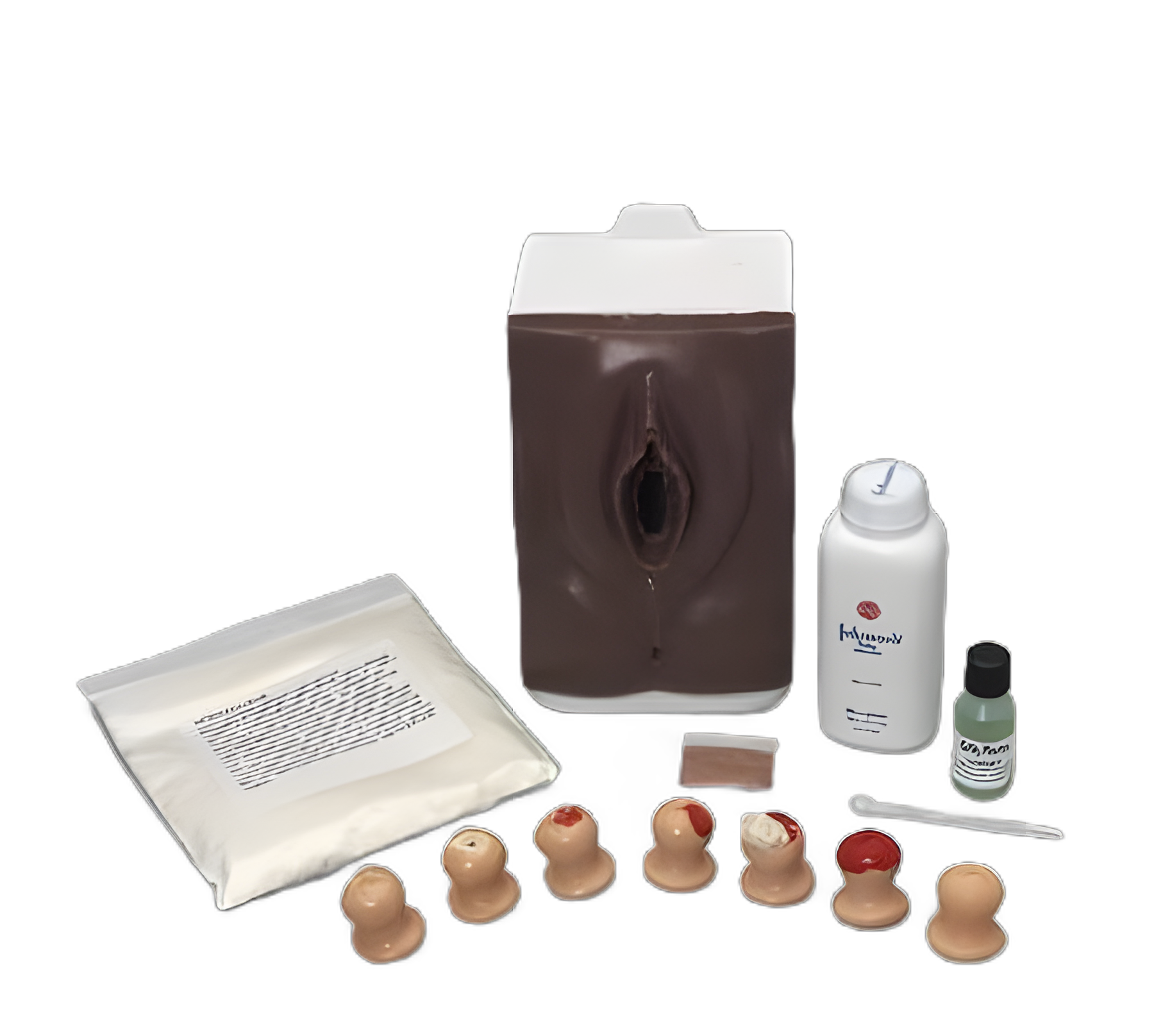 Life/form® Cervical Exam and Pap Smear Test Trainer for Medical Education