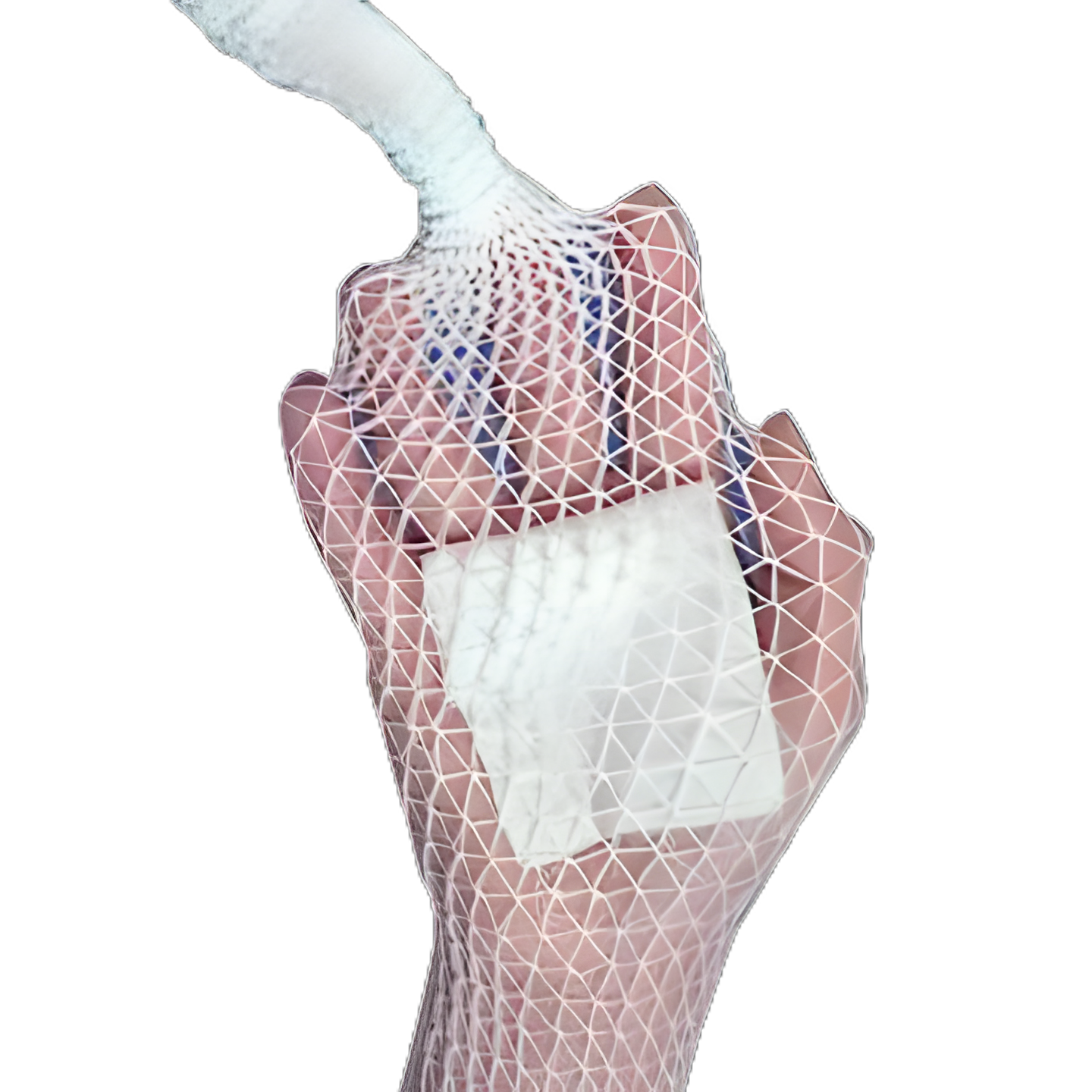 Elastic Net Retainer Dressing Stretch Net™ Tubular Elastic 25 Yard Size 2 White Finger / Wrist / Small Hand NonSterile