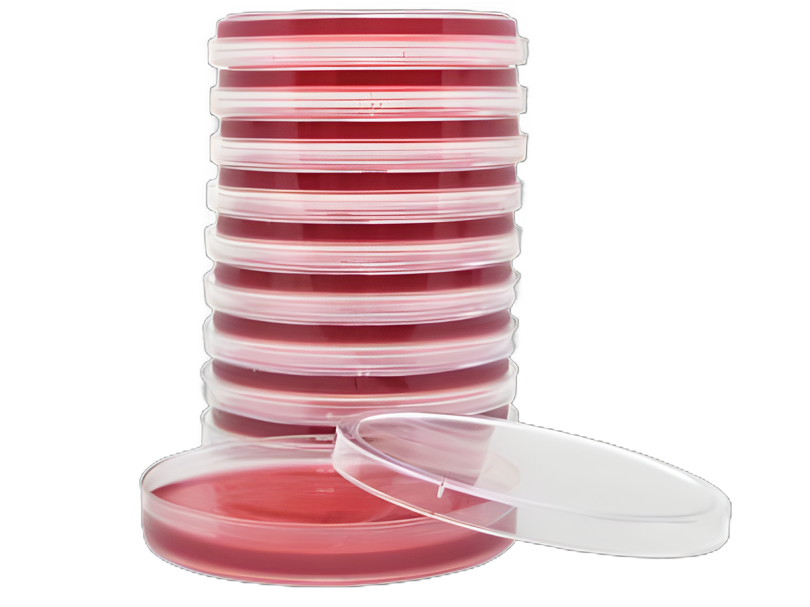 HardyCHROM SS No-Proteus Agar Petri Plates for Salmonella and Shigella Screening