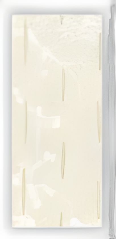 Wound Matrix Dressing OASIS® Ultra Rectangle 1 X 3 Inch Sterile Non-viable cells, Tissue-based: Animal