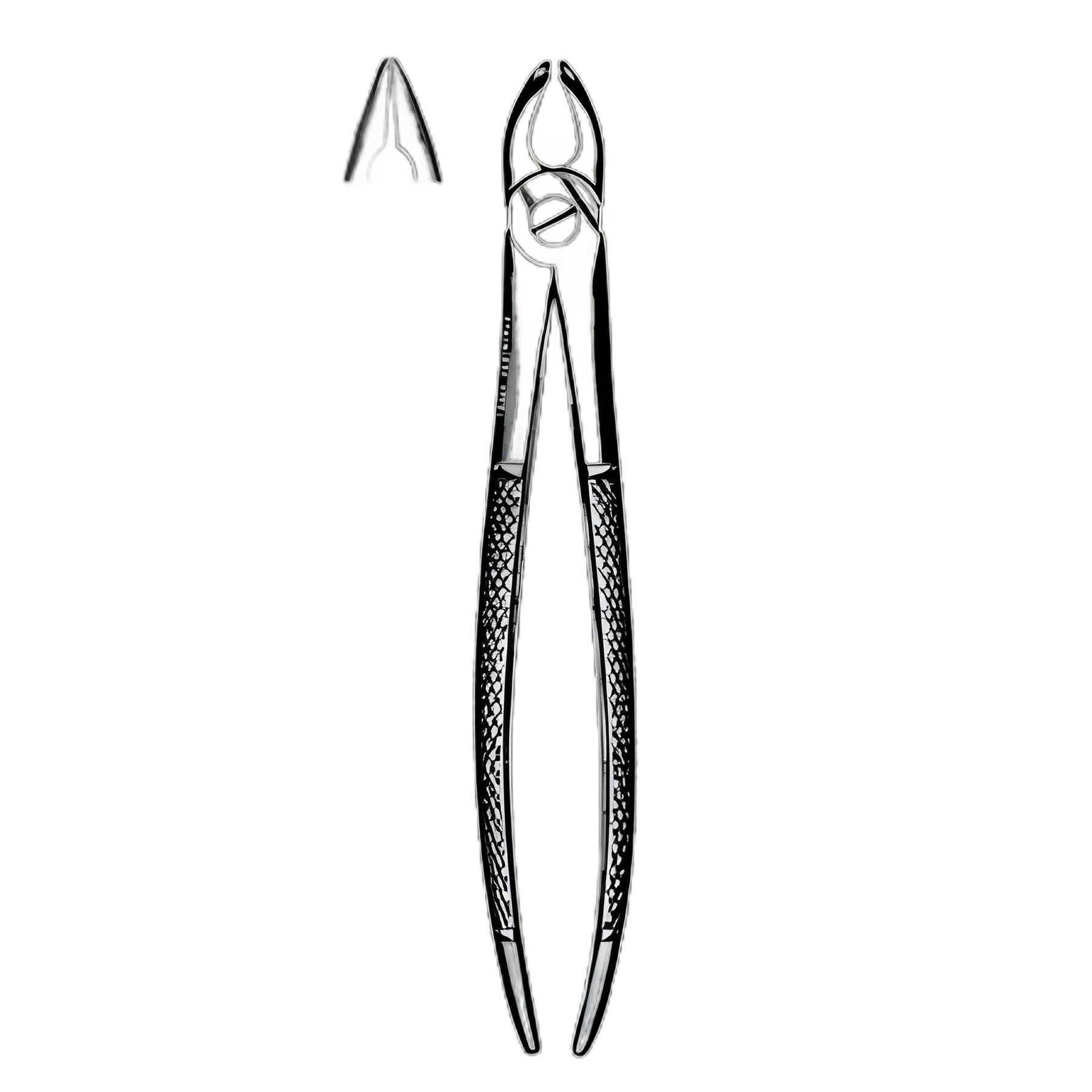 Extracting Forceps Sklar® Mead OR Grade Stainless Steel NonSterile NonLocking Plier Handle Straight #1 Serrated Tips