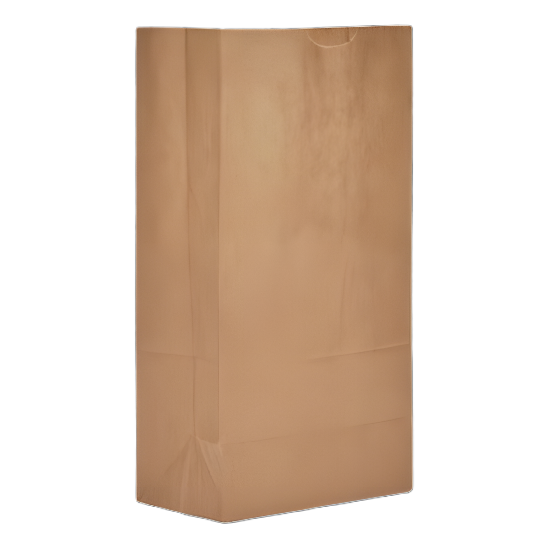 Durable Medical Grade Grocery Paper Bags, 50 lb Capacity, #5 Size